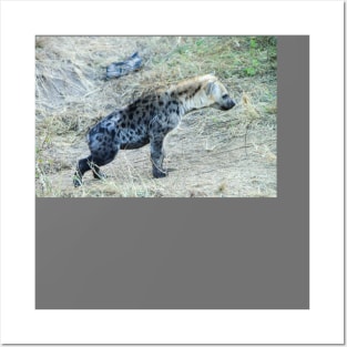 Juvenile Hyena Cub Posters and Art